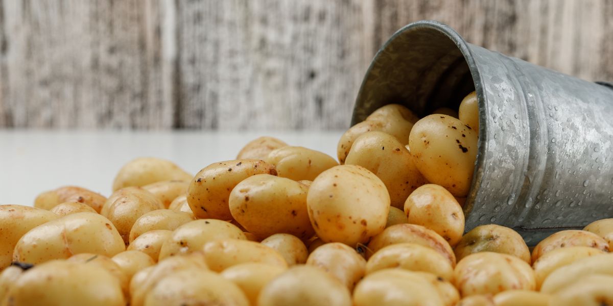Cómo mejorar la experiencia de tus clientes con los preparados de patatas en bares y restaurantes