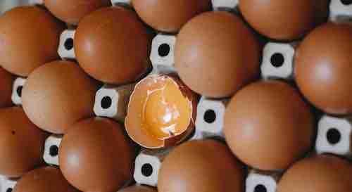 Comidas caseras con huevos frescos y productos de primera calidad de Ventum Gourmet